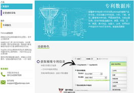 Patsnap 国际专利数据分析服务的数据处理能力与价值
