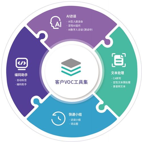 数智洞察新范式 2026中国用户声音（VoC）服务格局与价值重塑与数据处理服务进化